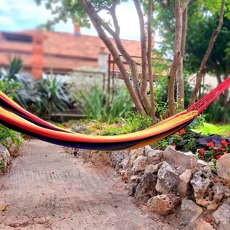Be Free-central-free Parking-garden-bbq Apartment *